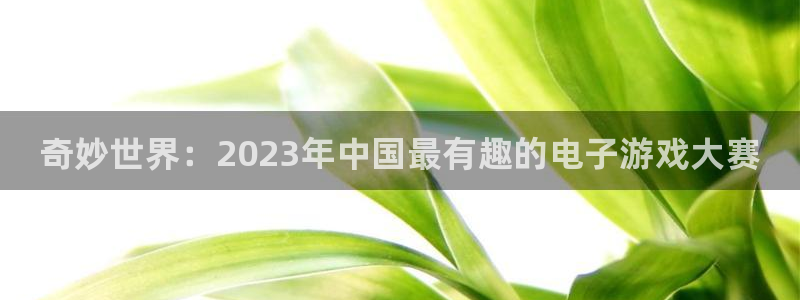优贝娱乐代理登陆：奇妙世界：2023年中国最有趣的电子游戏大