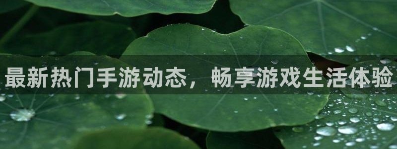 优贝娱乐官方登录网址：最新热门手游动态，畅享游戏生活体验
