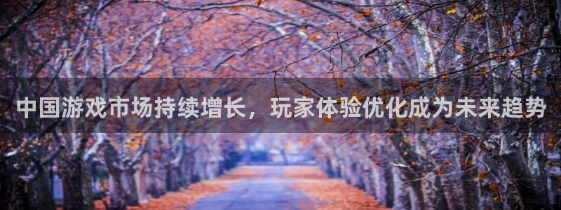 优贝娱乐平台官网客服电话：中国游戏市场持续增长，玩家体验优化