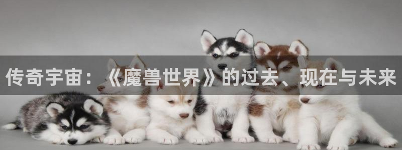 手机优贝娱乐下载安装：传奇宇宙：《魔兽世界》的过去、现在与未