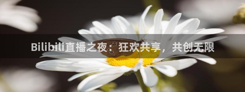 so米足球直播吧：Bilibili直播之夜：狂欢共享，共创无限